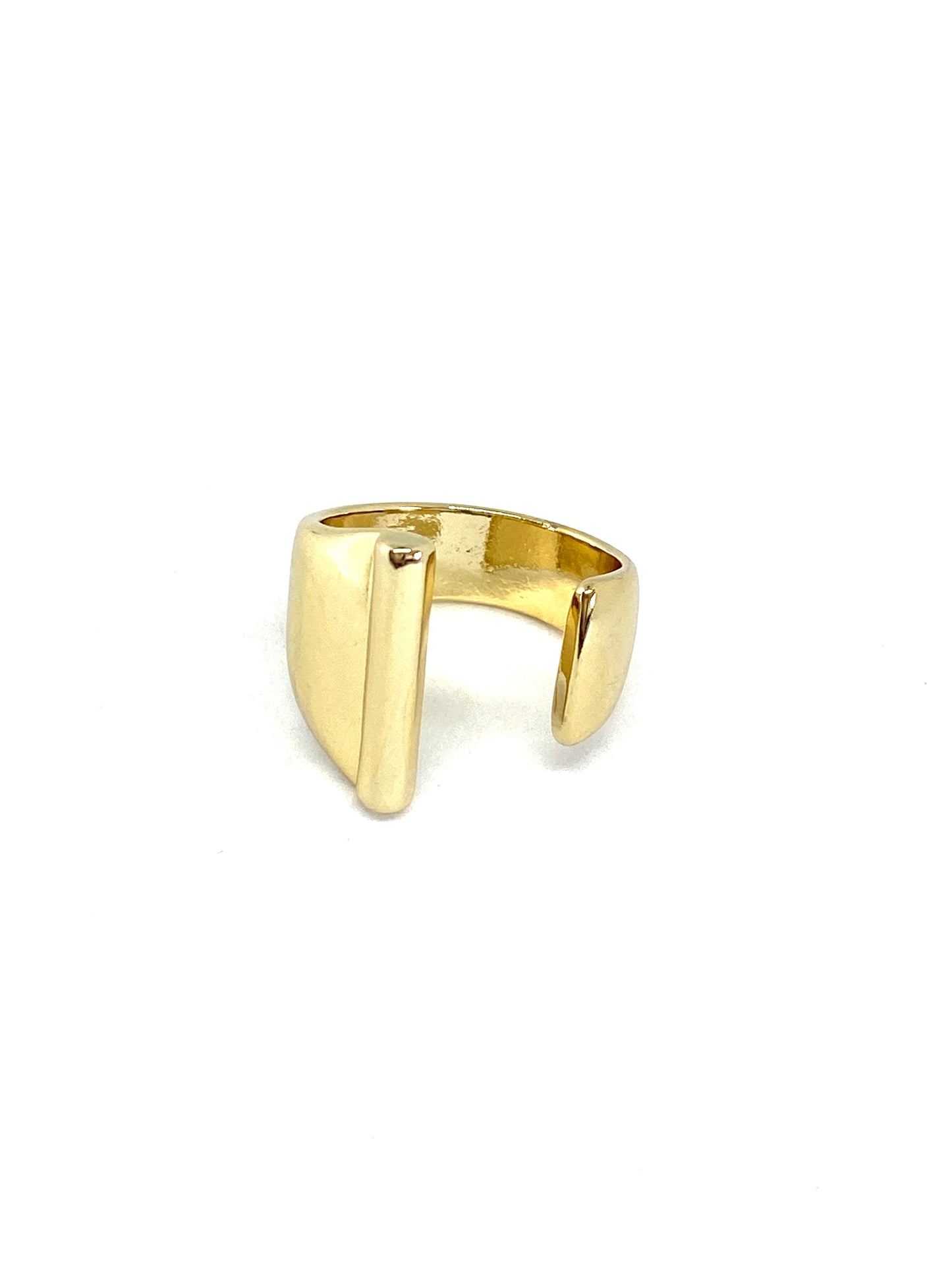 ANILLO INDI
