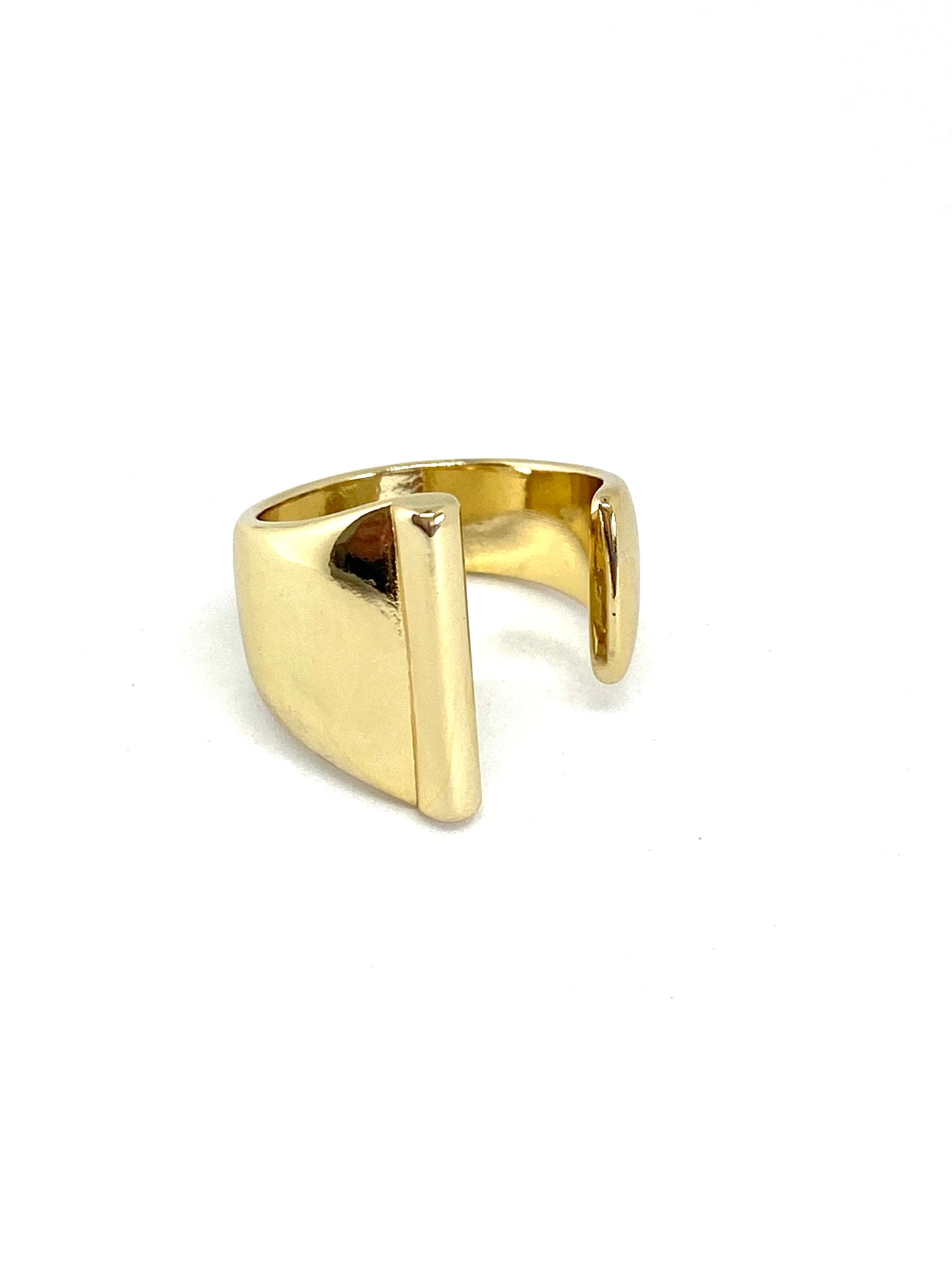 ANILLO INDI