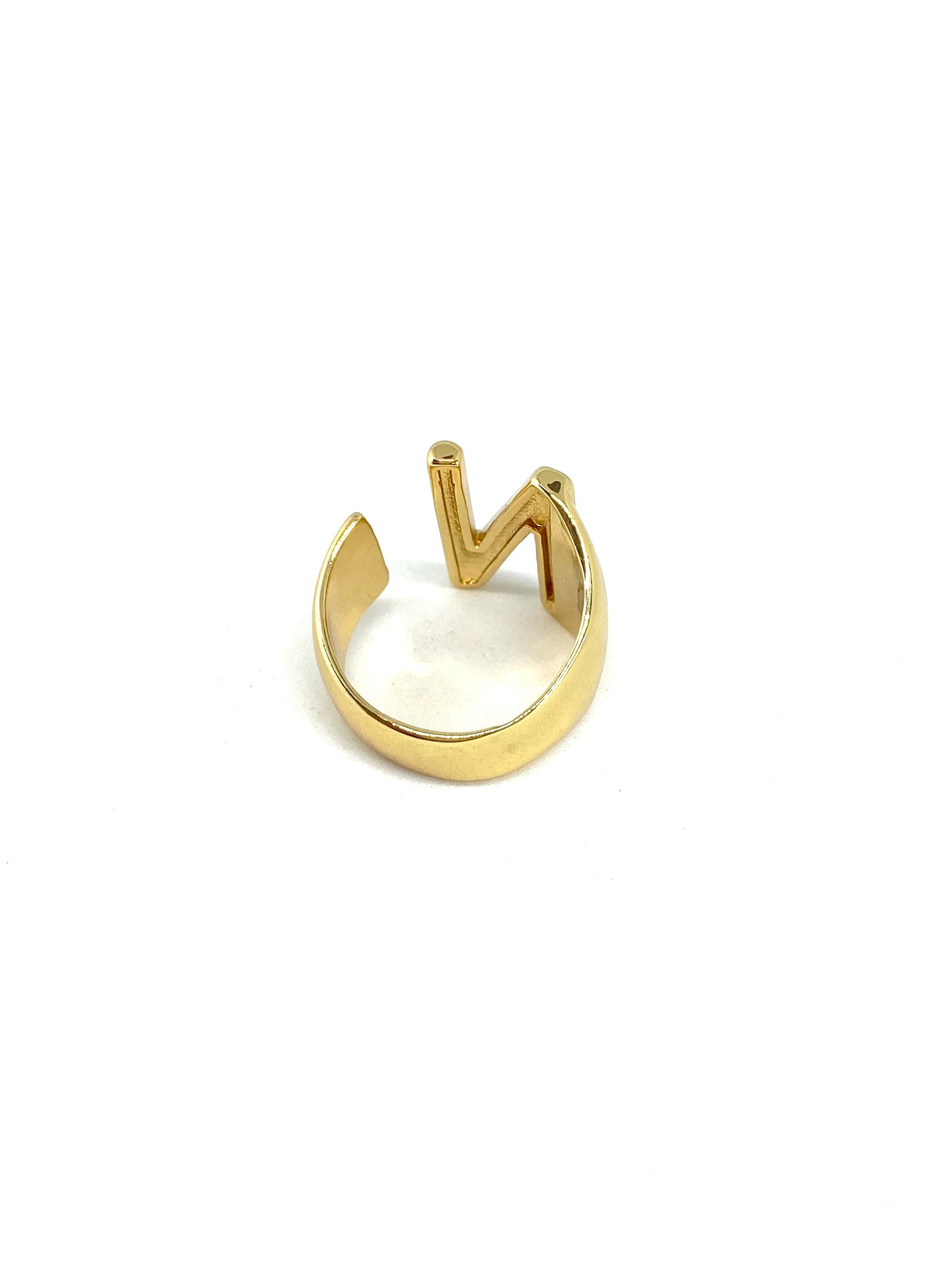 ANILLO NIEVES