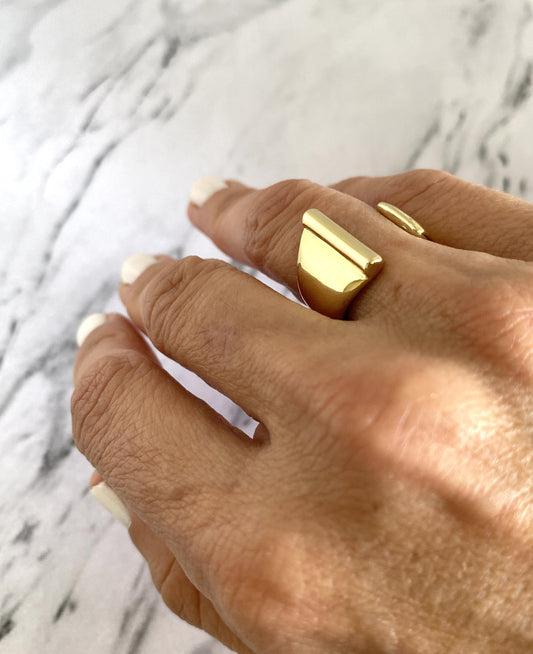 ANILLO INDI